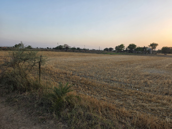 15 Bigha Land for Sale Near NH-52 | Barudhan Circle | Kota-Bundi Road | Prime Investment Deal