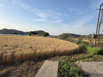 “Lake View Luxury Resort Land | 3 Bigha Premium Investment Near Tiger Reserve & Upcoming 5-Star Hotel”