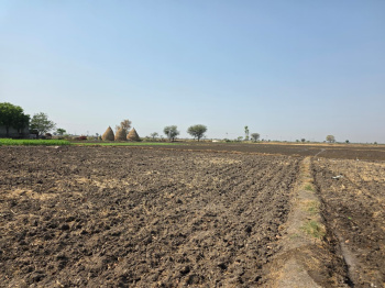 Premium Agricultural Land for Sale – Bundi District