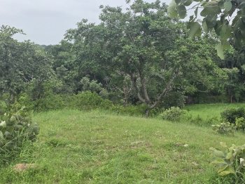 Property for sale in Bhinder, Udaipur