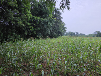 Property for sale in Chanderiya, Chittorgarh