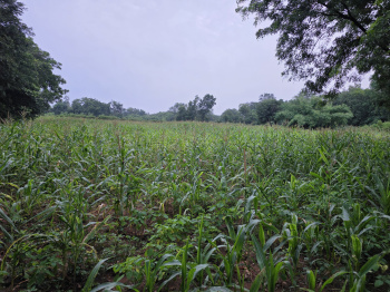 Property for sale in Chanderiya, Chittorgarh