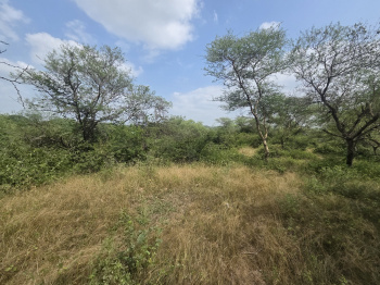 14.92 Hectare Strategic Land Parcel for Sale