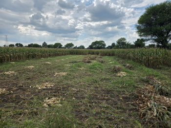 Property for sale in Nimbahera, Chittaurgarh