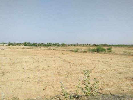 Farm land sell nainwa tahsil bundi