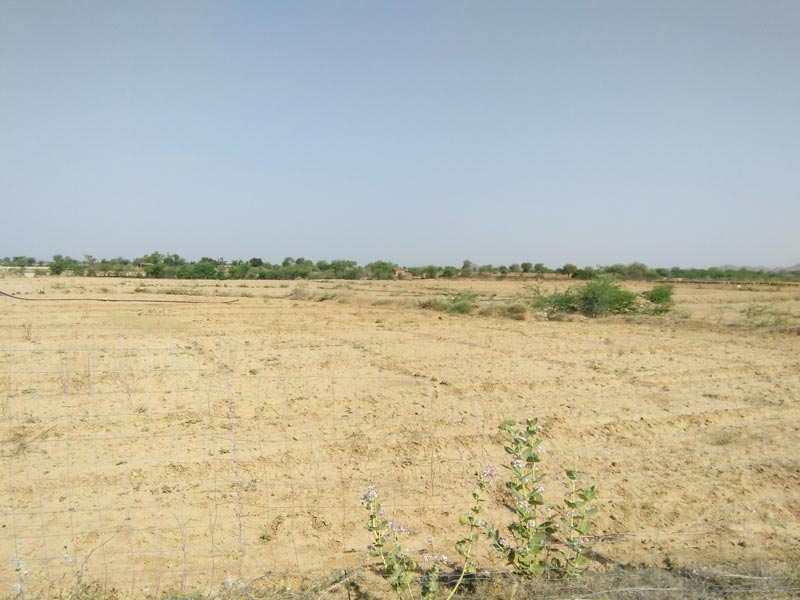 Farm land sell nainwa tahsil bundi