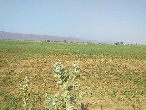 Agricultural/Farm Land for Sale in Keshoraipatan, Bundi (12 Bigha)