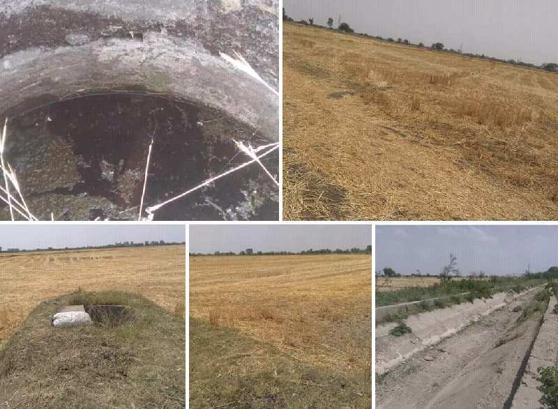 Agricultural/Farm Land for Sale in Keshoraipatan, Bundi (87 Bigha)
