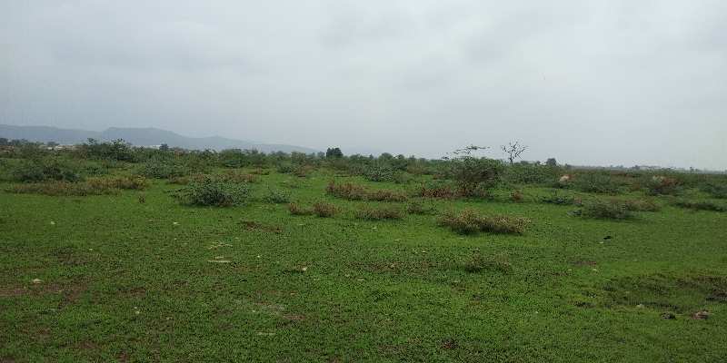 Agricultural/Farm Land for Sale in Hattipura, Bundi (13000 Sq.ft.)