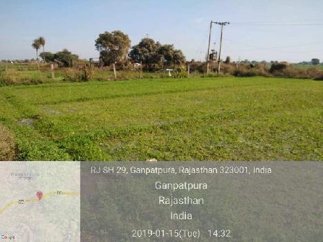 Agricultural/Farm Land for Sale in Bundi (2.5 Bigha)