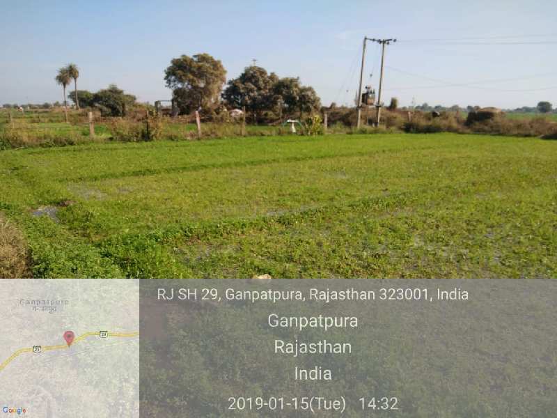 Agricultural/Farm Land for Sale in Bundi (2.5 Bigha)