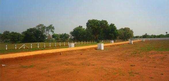 Residential Plot for Sale in Bhandara (2000 Sq.ft.)