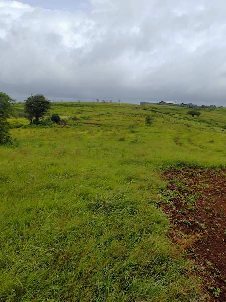 5 Ares Agricultural/Farm Land for Sale in Krishna Nagar, Nashik