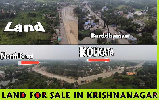 440 katha plot sale in Krishnanagar