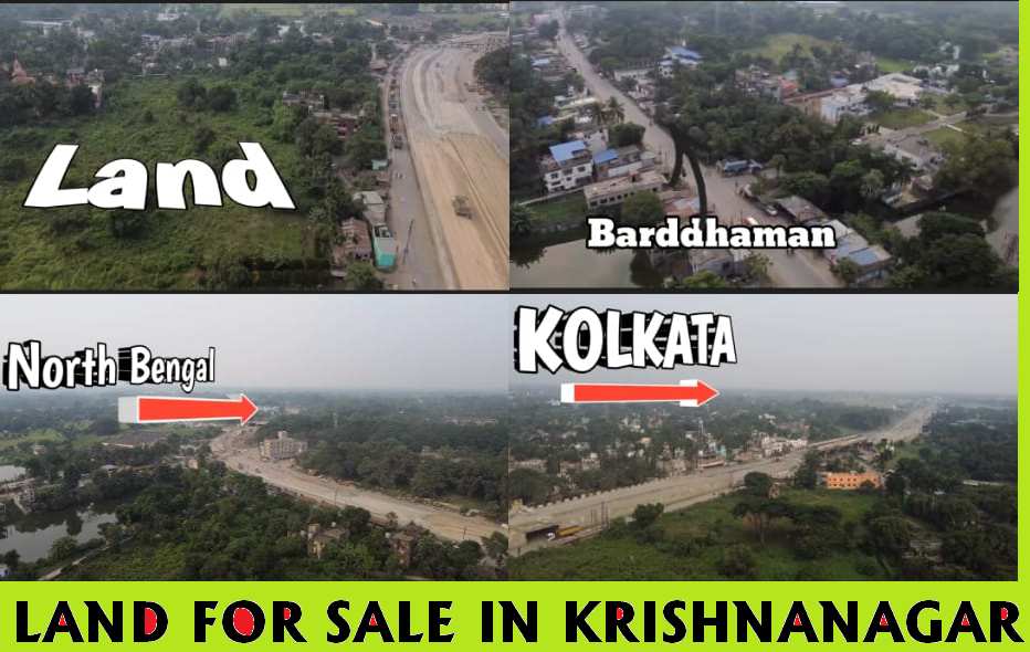 440 katha plot sale in Krishnanagar