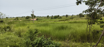 50 Bigha Plot for sale in Dubrajpur