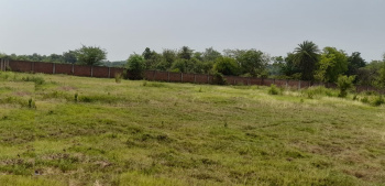 7.5 bigha land for Sale in near by CHANDRACHUR MANDIR Asansol