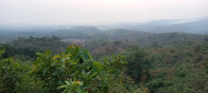 47 Acre Agricultural/Farm Land for Sale in Sawantwadi, Sindhudurg