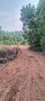 Agricultural/Farm Land for Sale in Sawantwadi, Sindhudurg (40000 Sq. Meter)