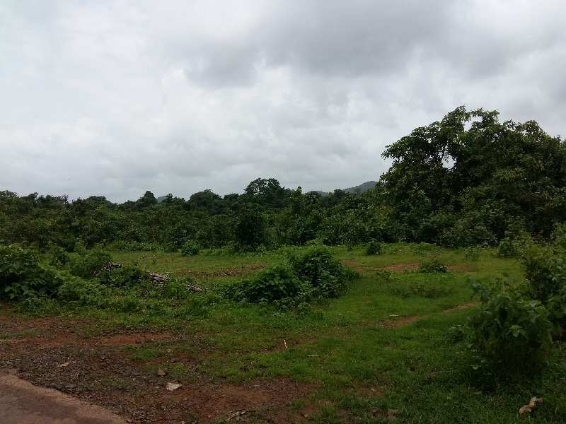 Agricultural Land For Sale In Sawantwadi, Sindhudurg