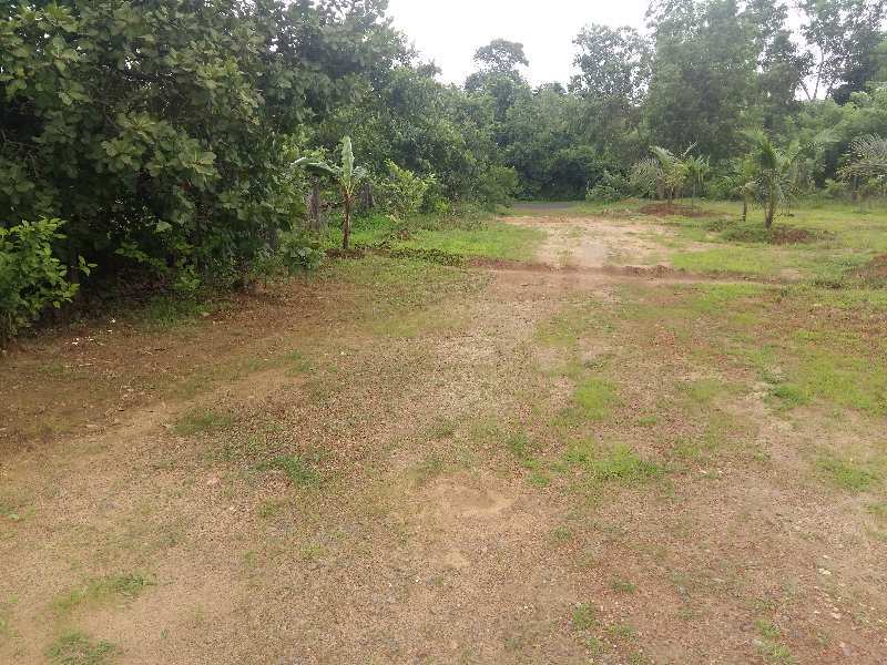 Agricultural/Farm Land for Sale in Sawantwadi, Sindhudurg (40 Guntha)