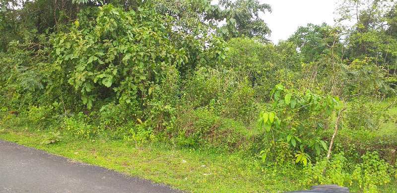 Agricultural/Farm Land for Sale in Sawantwadi, Sindhudurg (130 Acre)