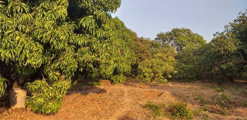 22 Acre Agricultural/Farm Land for Sale in Sawantwadi, Sindhudurg (20 Acre)