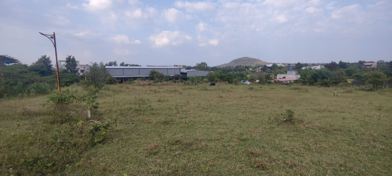 2970 Sq.ft. Residential Plot for Sale in Trimbakeshwar, Nashik