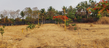 Property for sale in Igatpuri, Nashik