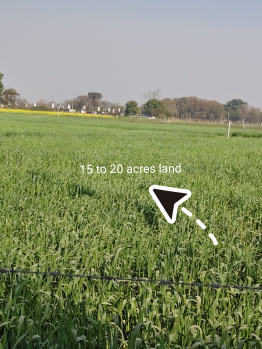 commercial & residential  Land