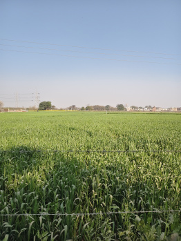 Property for sale in Kharar Road, Mohali