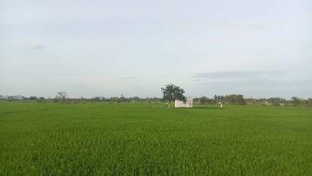 12acre, Agricultural Land For Sale