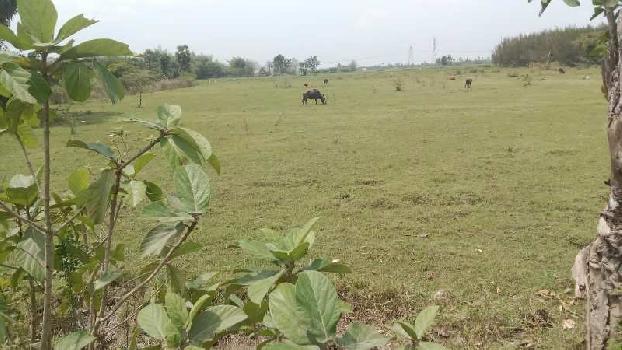 10 Acre Agricultural/Farm Land For Sale In Vedanthangal, Kanchipuram