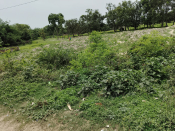 Property for sale in Basauli, Madhubani