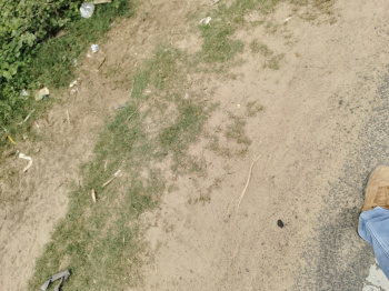 Property for sale in Basauli, Madhubani