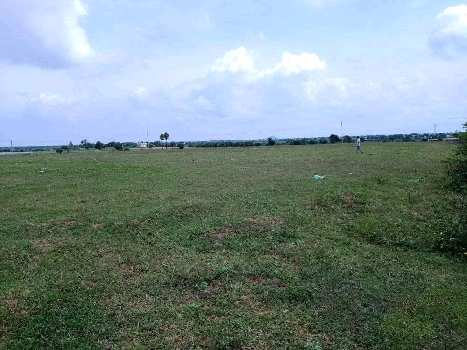 32 Acers Agriculture Land for SALE near Umbergaon - Sanjan, Gujarat.