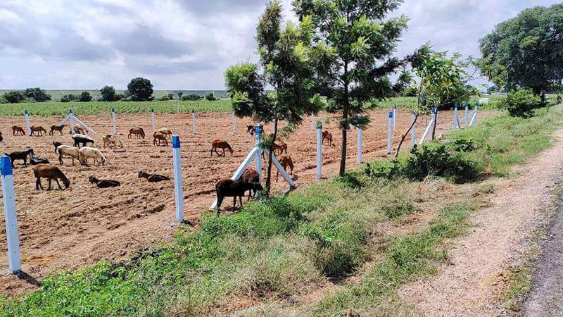 50 Acers Agriculture Land for SALE near Umbergaon & Sarigam GIDC