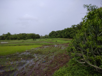 Property for sale in Sarigam GIDC, Vapi