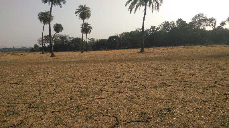 Farm Land for Sale in Sarigam, Valsad (4.5 Acre)
