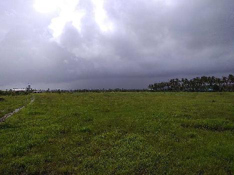 Agricultural/Farm Land for Sale in Sarigam, Valsad (10 Acre)