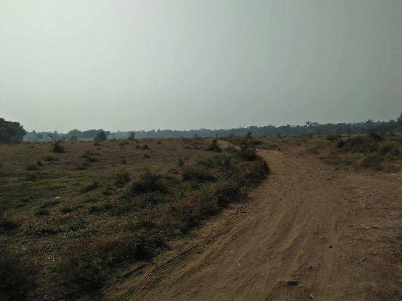 Agricultural/Farm Land for Sale in Sarigam, Valsad (42 Acre)