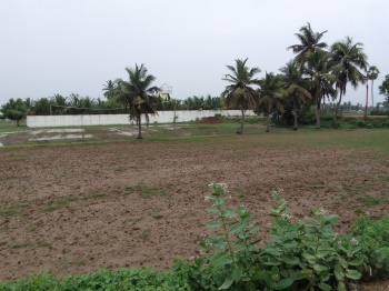 106 Cent Agricultural/Farm Land for Sale in Thirukalukundram, Kanchipuram